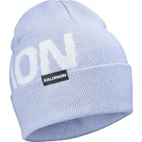 Salomon Gorro Hermitage