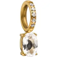 Purelei Atrelado ouro / transparente