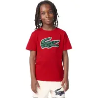 Lacoste Camiseta De Manga Curta 47072