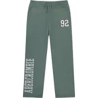 Abercrombie & Fitch Calças cinzento claro / verde