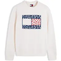Tommy Hilfiger Sweatshirt 'NOVELTY' navy / vermelho / branco