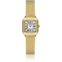 Frederic Graff Siems Gold Mesh FEA-3414
