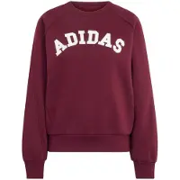 Adidas Sweatshirt de desporto cinzento claro / bordeaux