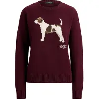 Ralph Lauren Pullover castanho / castanho escuro / borgonha / offwhite
