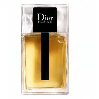 Dior Christian perfume Homme (2020) EDT 100 ml