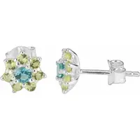 Radiant Brincos Ry000109