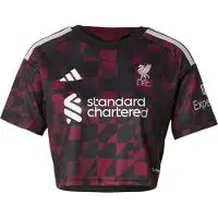 Adidas Camisa funcionais 'FC Liverpool 26/27' vermelho vinho / preto / branco