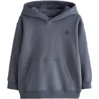 Next Sweatshirt cinzento escuro