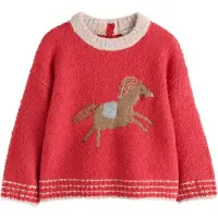 Next Pullover castanho / menta / vermelho / branco lã