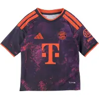 Adidas Camisa funcionais 'FC Bayern München ' roxo / vermelho-alaranjado