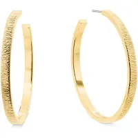 Calvin Klein Brincos 35001011