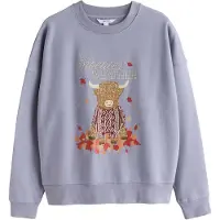 Next Sweatshirt azul pombo / castanho claro / vermelho vinho / vermelho cereja