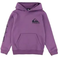 Quiksilver Moletom Com Capuz Omni Logo