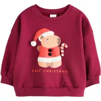 Next Sweatshirt estuque / laranja escuro / arando / branco