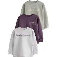 Next Camisola verde pastel / roxo escuro / preto / branco