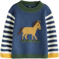 Next Pullover navy / sépia / jade / offwhite
