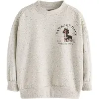 Next Sweatshirt castanho escuro / cinzento claro / verde / preto