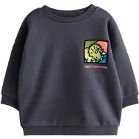 Next Sweatshirt azul / cinzento escuro / kiwi / salmão