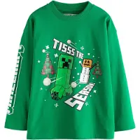 Next Camisola verde