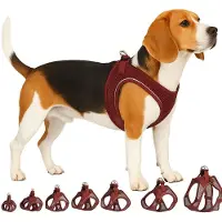 Flamingo Arnês Para Cães Step&go Bento