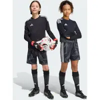 Adidas Calções Tiro26 Competition Goalkeeper
