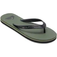 Quiksilver Chinelos Molokai Core