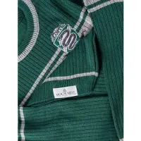 Cid Moletom Harry Potter Slytherin