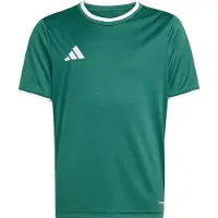 Adidas Camisa funcionais 'ENT26' verde escuro / branco