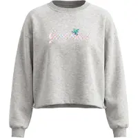 IZIA Sweatshirt cinzento / mistura de cores