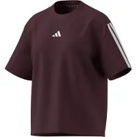 Adidas Camisa funcionais castanho de castanha