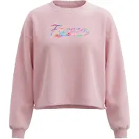 IZIA Sweatshirt mistura de cores / rosa claro