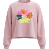 IZIA Sweatshirt mistura de cores / rosa claro