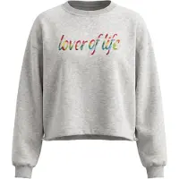 IZIA Sweatshirt cinzento / mistura de cores