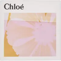 Chloé caixa de presente feminina1