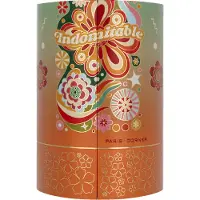 Paris Corner perfume Indomitable EDP 100 ml