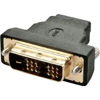 Lindy Adaptador Hdmi Para Dvi-d