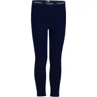 Icebreaker Leggings 260 Tech Merino