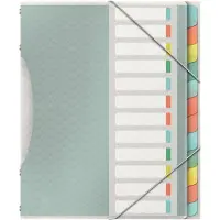 Esselte Pasta organizadora | Multicolorida 12 separadores
