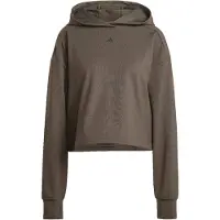 Adidas Moletom Com Capuz Power