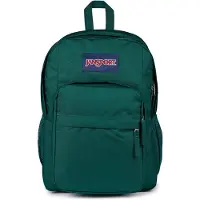 JanSport Mochila Big Day Pack 34l