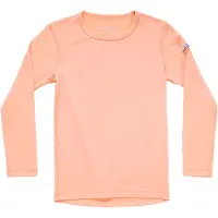 Devold Camiseta De Manga Comprida Breeze Plus Merino
