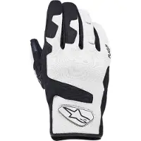 Alpinestars Luvas De Inverno Ignite Drystar