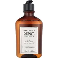Depot The Male Tools Xampu No 101 Normalizing Daily 250 Ml