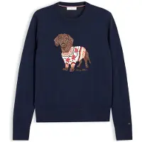 Tommy Hilfiger Pullover navy / brocado / vermelho / branco