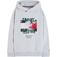 Tommy Hilfiger Sweatshirt acinzentado / verde escuro / vermelho sangue / preto