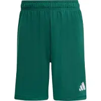 Adidas Calções Entrada 26