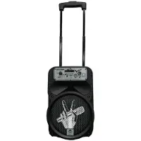 Toy Planet Karaokê The Voice 2 Microfones Bt