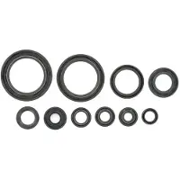 Holeshot Kit De Retentores De óleo Honda 2004-2009 Crf250r 2004-2018 Crf250x