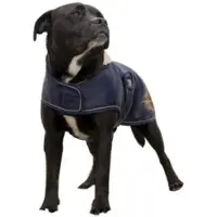 Diego & Louna Casaco Para Cachorro Nylon Teddy