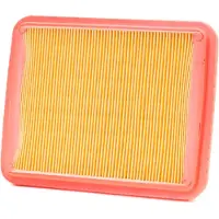Champion Filtro De Ar Caf9002